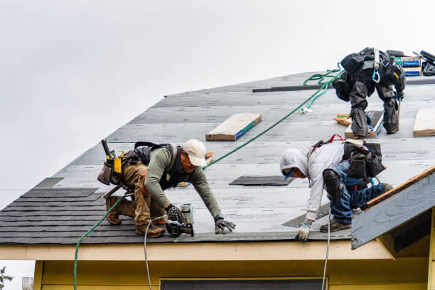 Professional Gutter Installation technician working in Rogers, AR